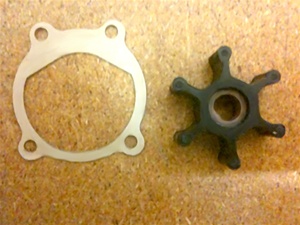 Impeller and Gasket